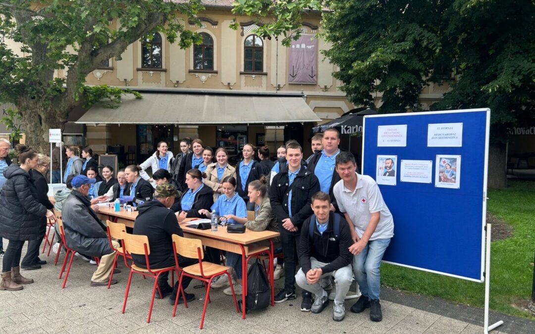 Međunarodni dan sestrinstva